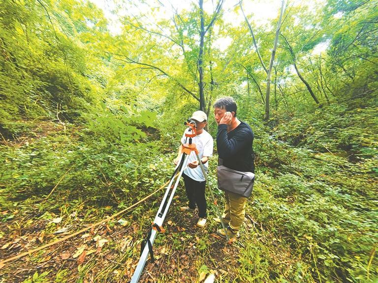 宝鸡市林业调查规划院高级工程师焦铁柱(左)与同事在进行森林抚育标准地测设调查(资料照片).jpg
