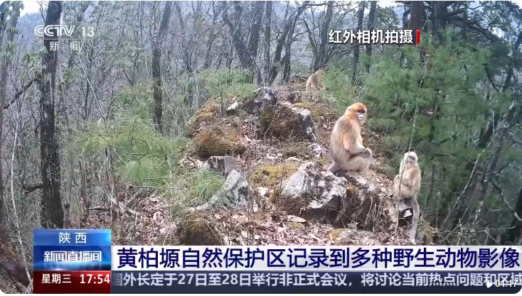 微信图片_20260528095951.png