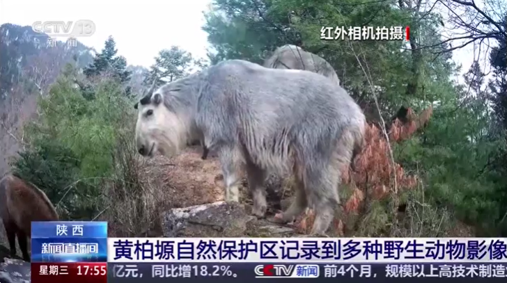 微信图片_20260528100310.png