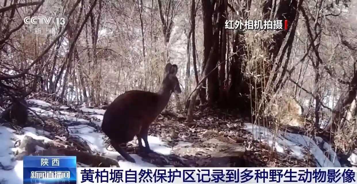 微信图片_20260528100222.png