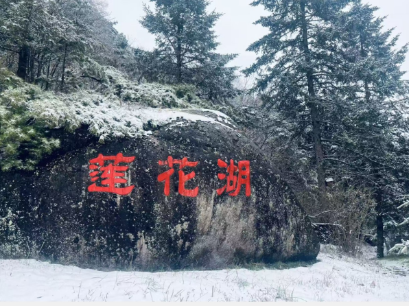 微信图片_20260519095805.png